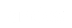 Andes logo